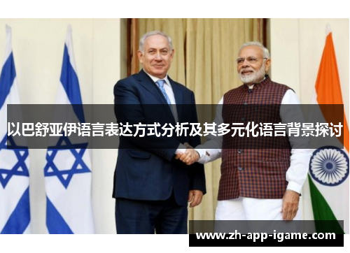 以巴舒亚伊语言表达方式分析及其多元化语言背景探讨