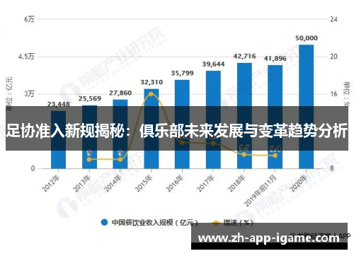足协准入新规揭秘：俱乐部未来发展与变革趋势分析