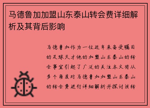 马德鲁加加盟山东泰山转会费详细解析及其背后影响